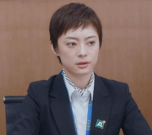 安家中房似锦的名字有什么含义 房似锦的意思是什么