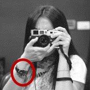 王心凌和张栋梁的关系（张栋梁如今被曝隐恋大6岁不婚族经纪人达10年）(9)