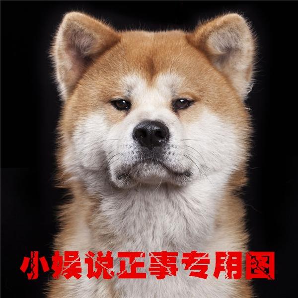 王心凌和张栋梁的关系（张栋梁如今被曝隐恋大6岁不婚族经纪人达10年）(21)