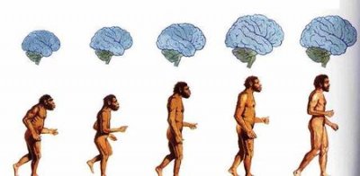 ​为什么人类统治地球