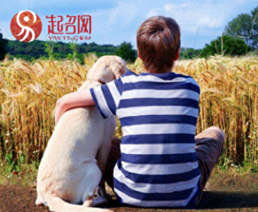 ​带有宝盖头的男孩取名常用字精选，适合狗年出生的男孩取名！