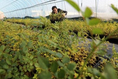 ​一中药营实关键技术研究产业化科创平台在无棣投用