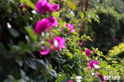 ​暖暖的东川，好在！好吃！好玩！