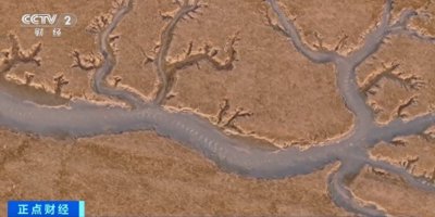 ​壮观！金光闪闪！江苏启东海边惊现“潮汐龙”→