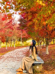 ​“枫”景如画 进入最佳观赏期 成都这个湿地公园红枫林火了