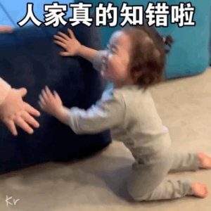 ​黄夏温下跪认错表情包合集｜宝贝我错啦原谅我好不好