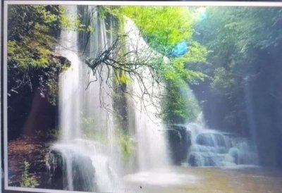 禅意和无我境界