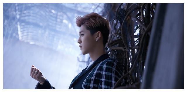 鹿晗他姓鹿,也似鹿,看起来的不自信,可能只是他的保护色