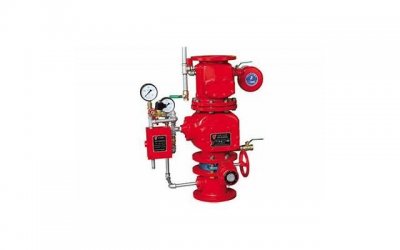 ​日菊花的时候需要注意什么 日菊花的注意事项