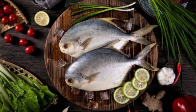 ​什么鱼好养 家庭养鱼 鱼有多少种类