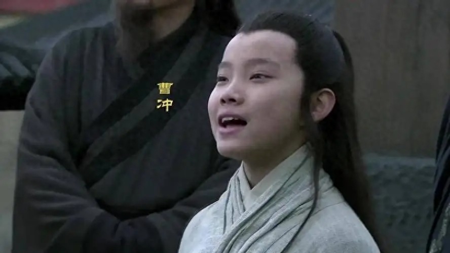 曹冲的人物简介资料（三国曹冲的生平介绍）-