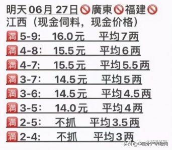 ​1亩最高赚40万！非法养殖会被重罚？规范牛蛙养殖，广东装备齐全