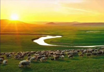 ​呼伦贝尔大草原旅游攻略