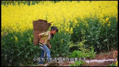 ​寡妇村的秘密