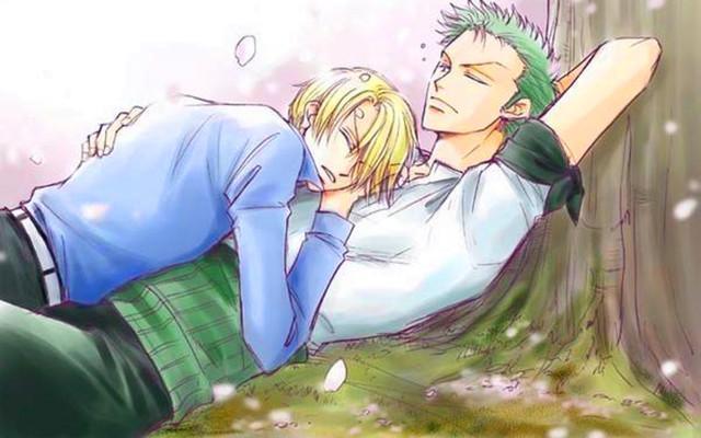 海贼王：罗宾的“最佳伴侣”究竟是谁？仅两人可供罗宾选择！