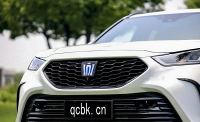 ​像皇冠一样的车标是什么车