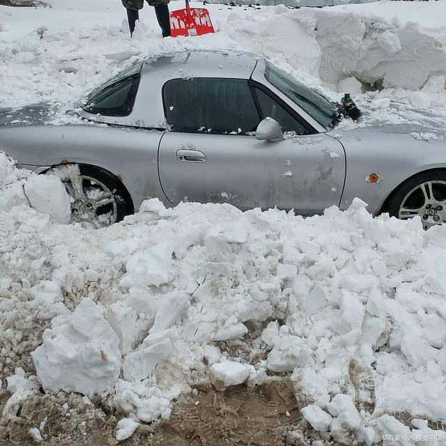 德媒：中国车市从没这么卷过，说明什么问题？-
