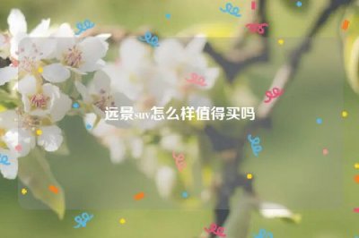 远景suv怎么样值得买吗