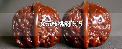 文玩核桃能吃吗? 文玩核桃能吃吗有毒吗