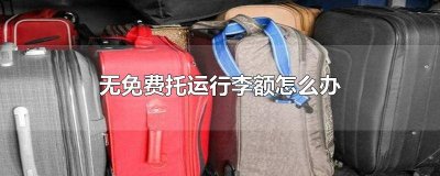 西部航空没有免费托运行李额怎么办 新闻 西部航空没有免费托运行李额