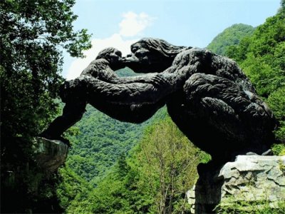 ​湖北神农架出现过山黄，既像虎又像豹，是华南虎的2倍大4倍重