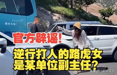 ​路虎逃逸女司机后续：还能否开车？娘家人撑腰，领导探望提供帮助