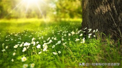 ​三阶幻方的规律及经典应用题！