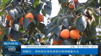​郑耀文：用科技实现优质低价柿饼飨宴大众