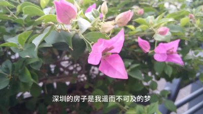 2024年惠州房子跌的太恐怖了,你知道花200万买的房...