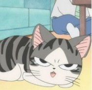 分享一波卡通猫咪头像，喜欢的小伙伴千万不要错过