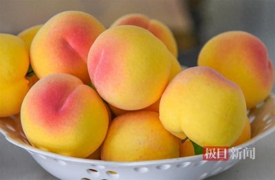 ​三湖黄桃“破圈”突围，湖北江陵把黄桃试种到新疆伊犁河谷
