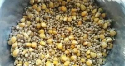 ​诱饵的配制方法和技巧