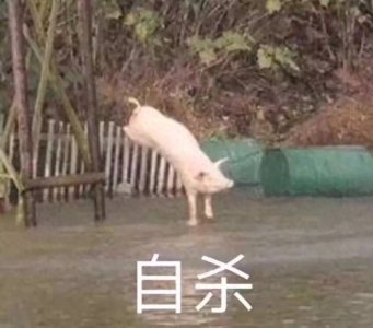 ​微信朋友圈互撩必备表情包，小哥哥处对象吗？