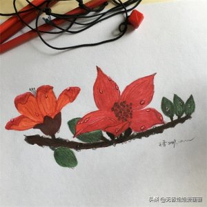 ​用马克笔和彩铅结合绘画的《木棉花》，简直是太吸引眼球了