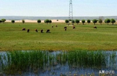 ​中国最励志的毛乌素沙漠：曾为我国第四大沙漠，75%面积变绿洲！