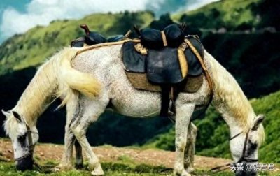 ​18张难以置信的巧合照片，太有意思了！