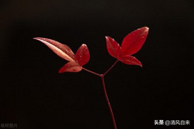 ​DRG支付模式，真的是医院的亏损黑洞？