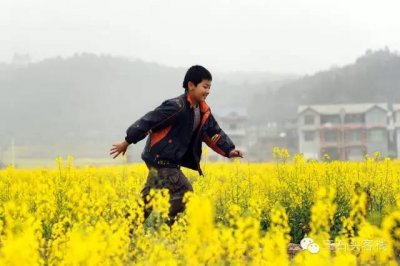 ​我有一壶酒，足可慰风尘。花开十里地，不可负春光